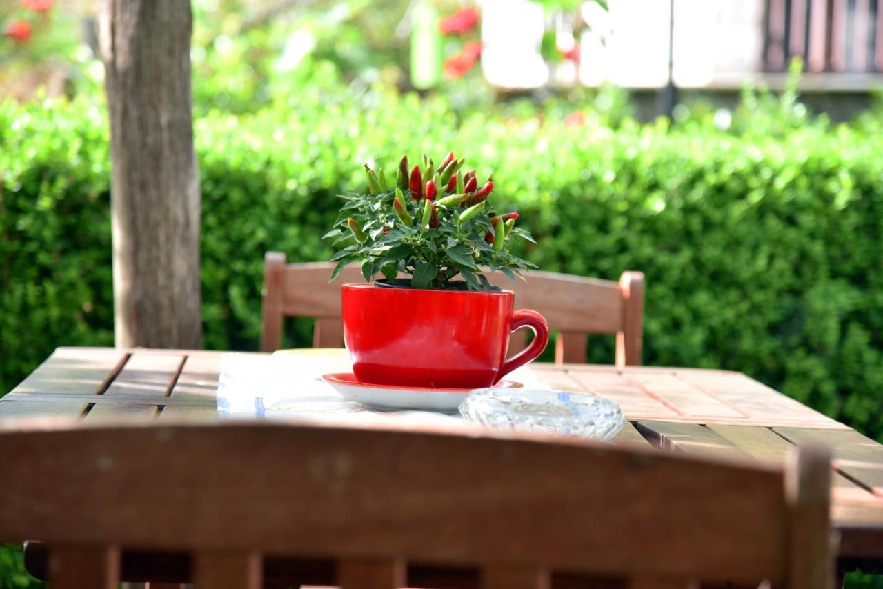 Casa Gentile Bed & Breakfast อาเจโรลา ภายนอก รูปภาพ