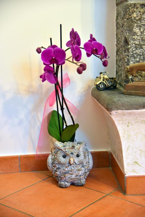Casa Gentile Bed & Breakfast อาเจโรลา ภายนอก รูปภาพ